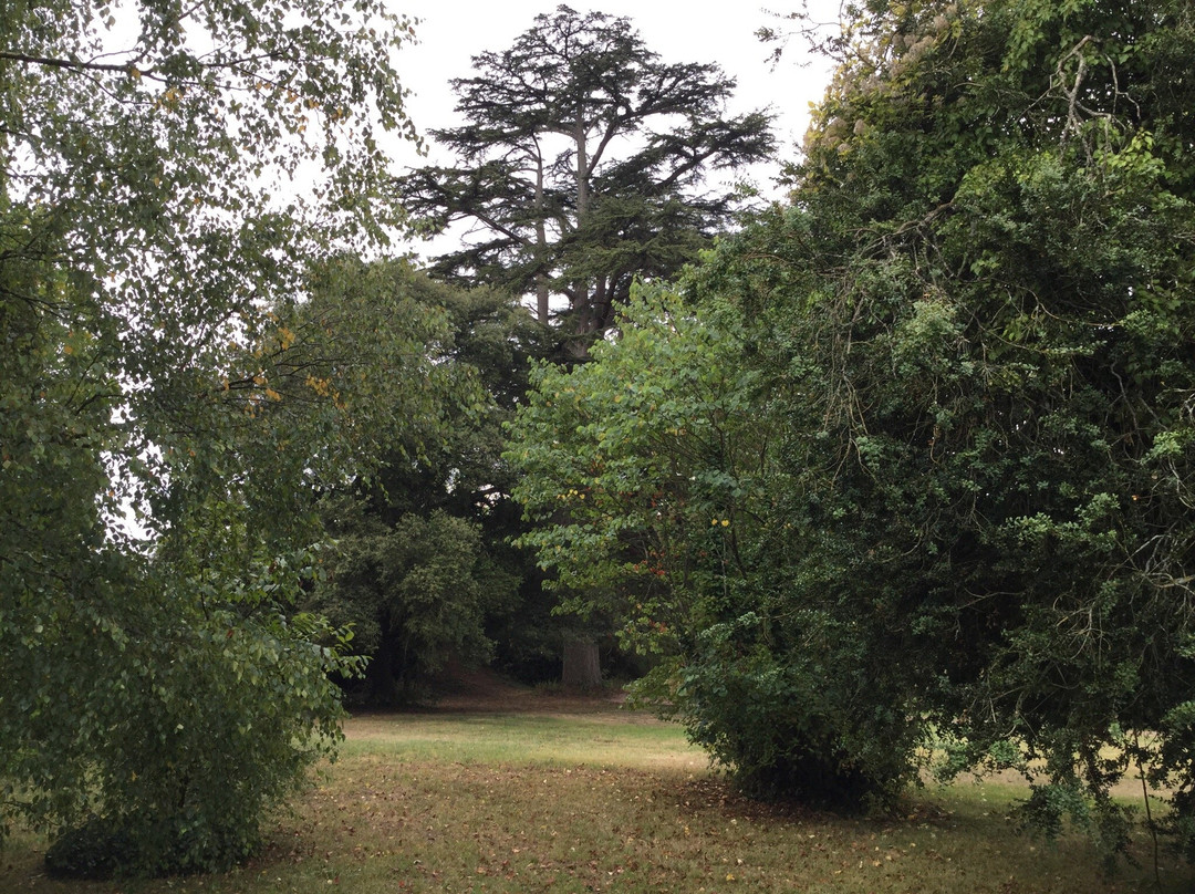 Logis de la Cantinolière主图