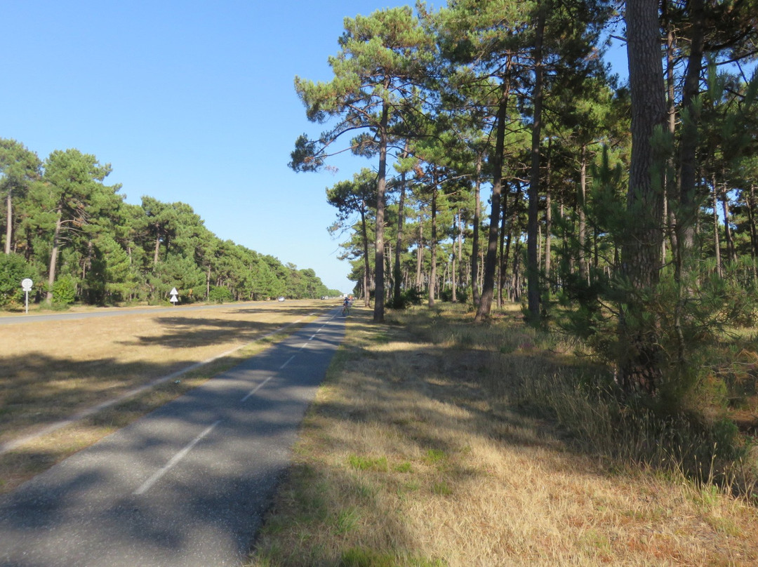 Pistes Cyclables en Gironde景点图片