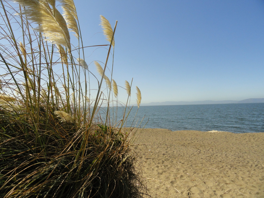 Crown Memorial State Beach景点图片
