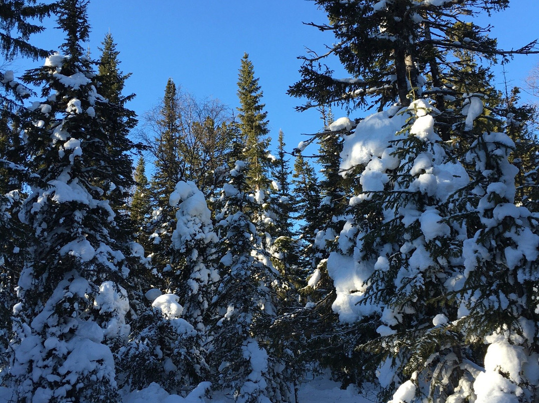 Dyatlov Pass/ Pereval-Ivdel必去景点