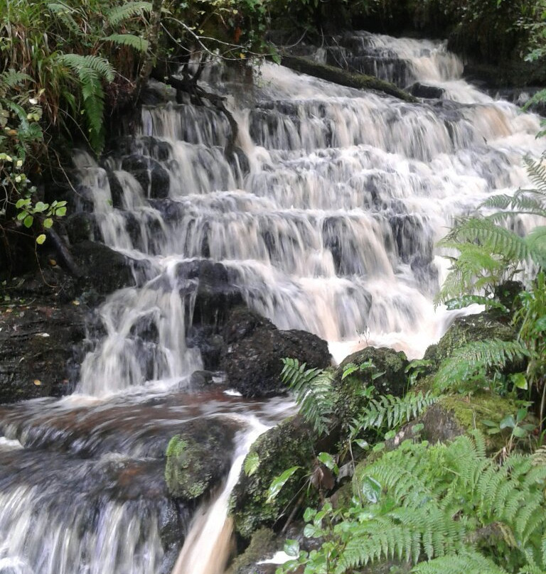 Cladagh Glen Walk-Belcoo必去景点