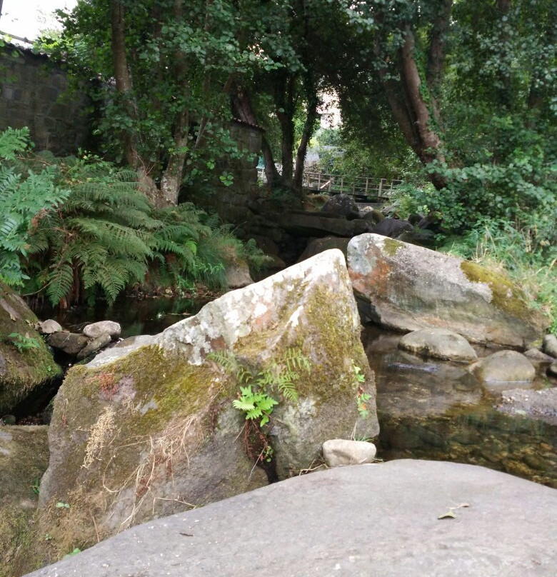 Senda fluvial del rio Baina景点图片