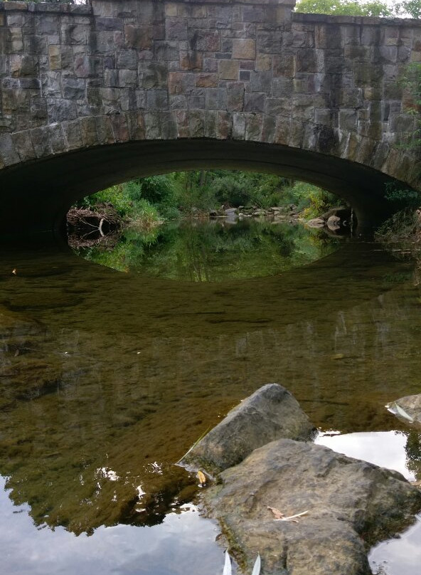 Trexler Memorial Park景点图片