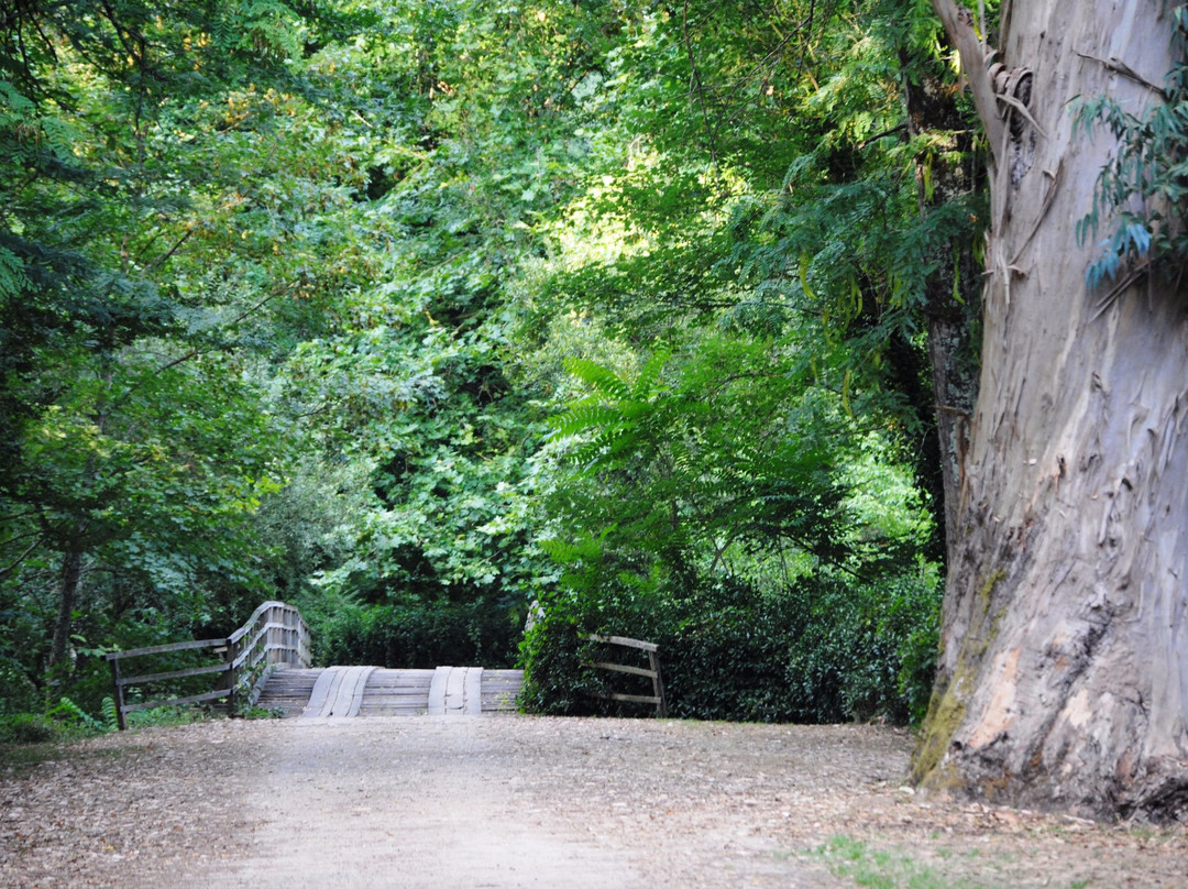 Choupal National Forest-科英布拉区必去景点
