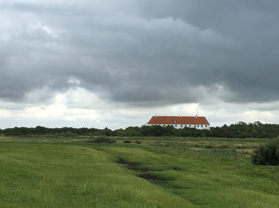 Baekmarksbro旅游攻略图片