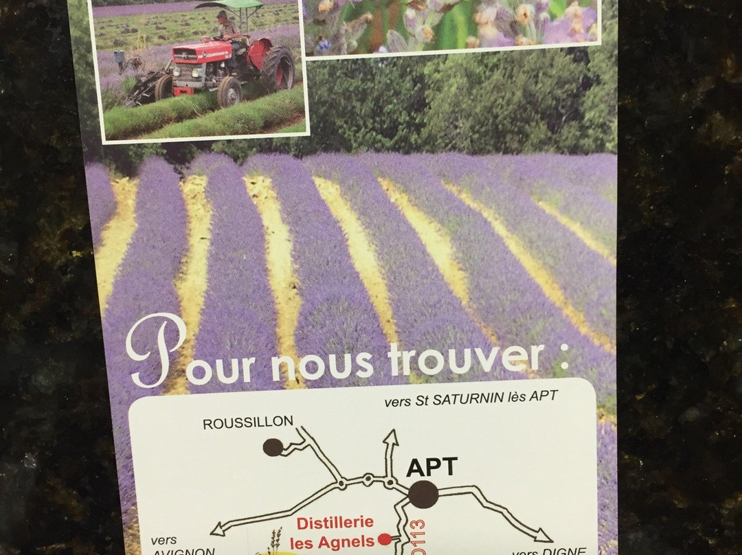 Distillerie de Lavande Jean-Claude Guigou景点图片