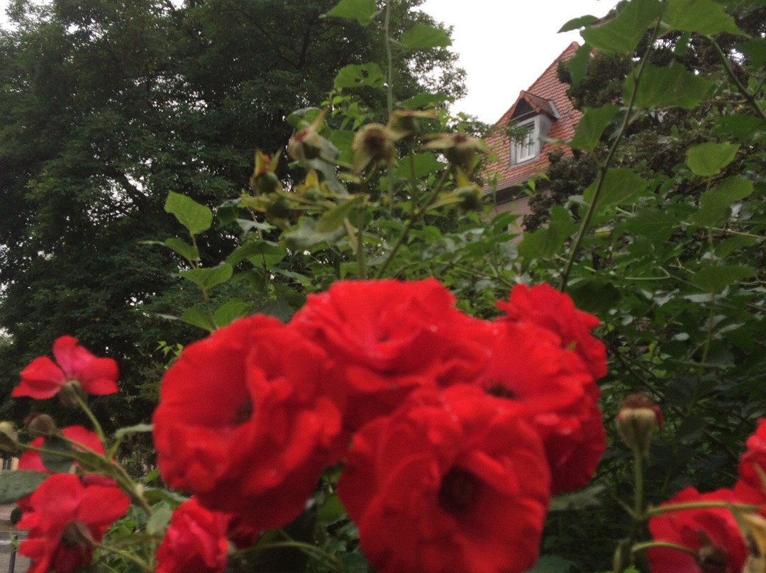 Gartenschaugelände Kitzingen景点图片