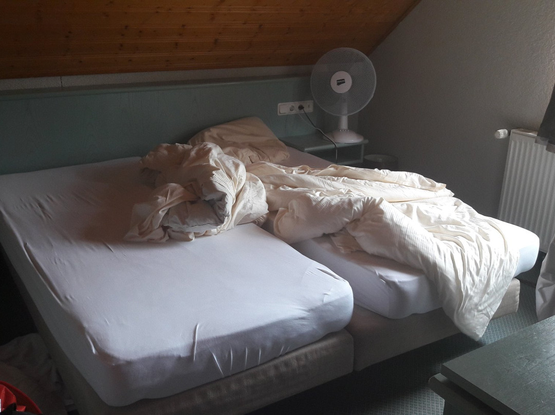 Hotel Schloss Hubertus主图