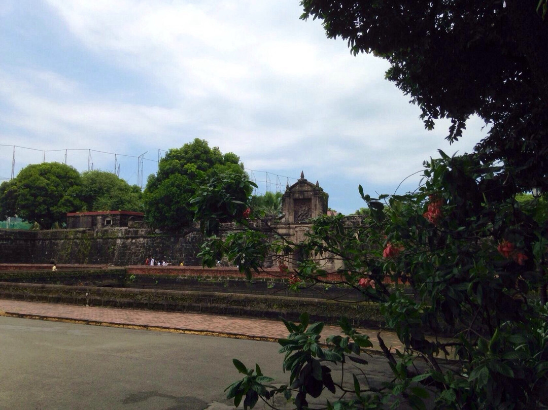 Bonsai Library and Museum-马尼拉必去景点