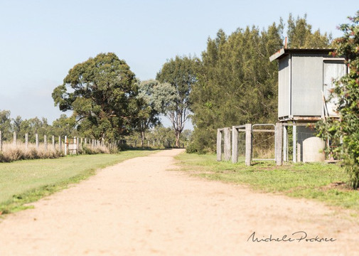 因杜卢皮利旅游景点-Oxley Creek Common