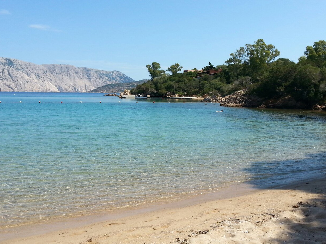 Le Farfalle - Cala Suaraccia Beach景点图片