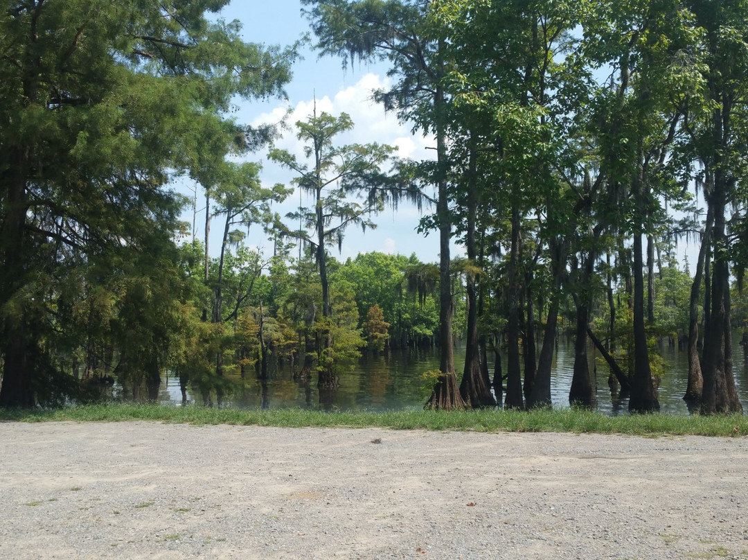 Cheniere Lake Park
