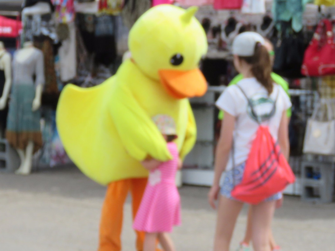 Red River Valley Fairgrounds-West Fargo必去景点