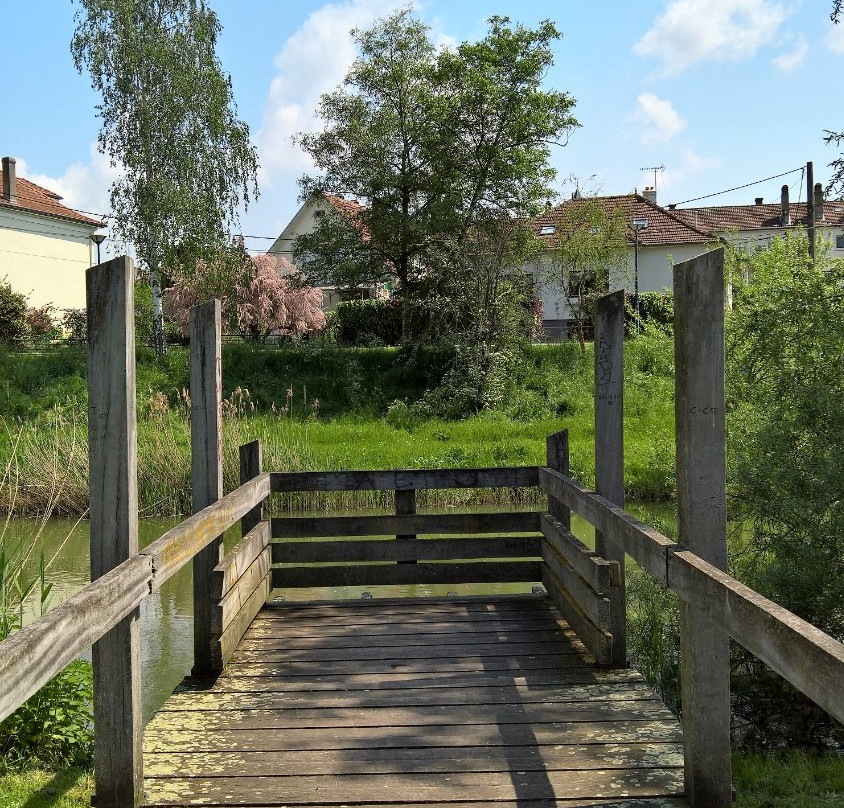 Parc de la Seille景点图片