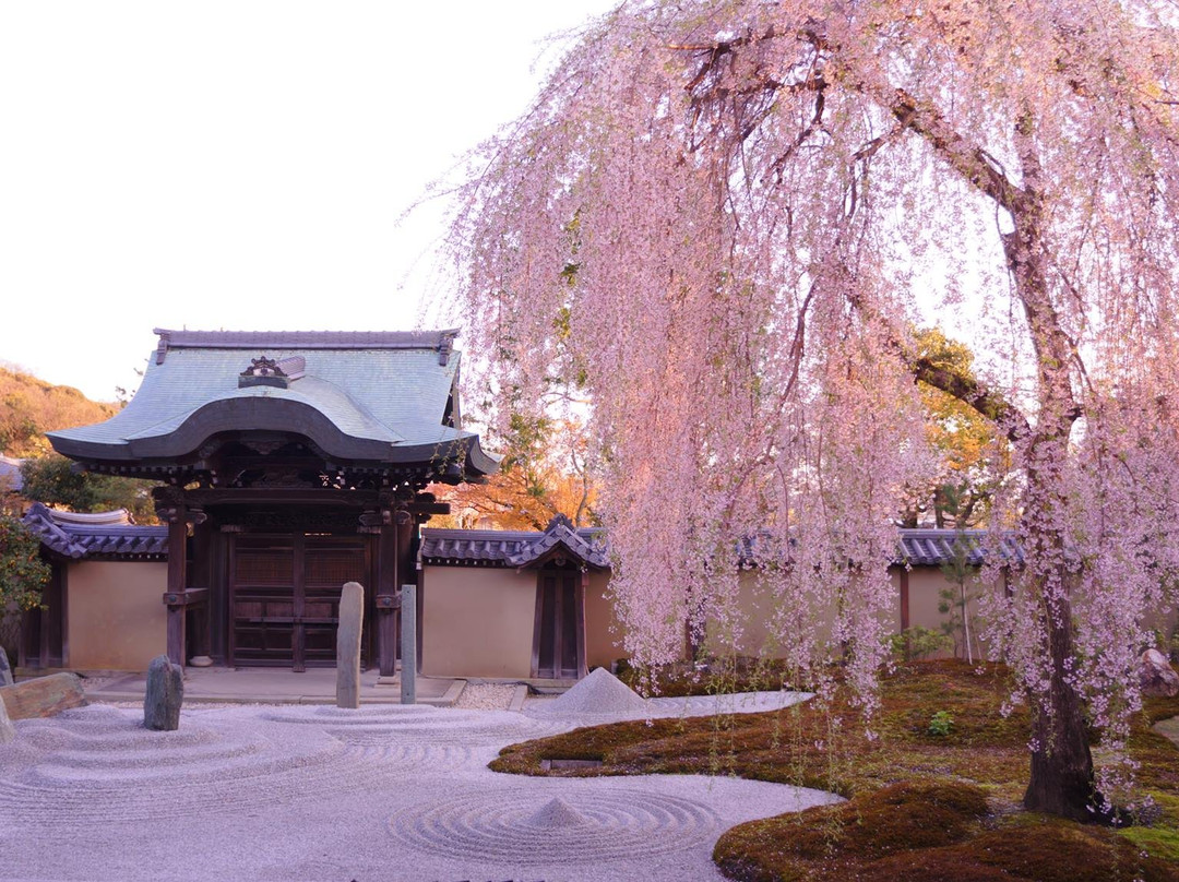 Beauty of Japan景点图片