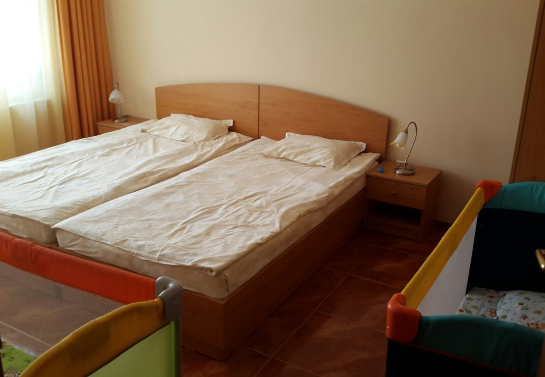 Topalovi Guest House主图