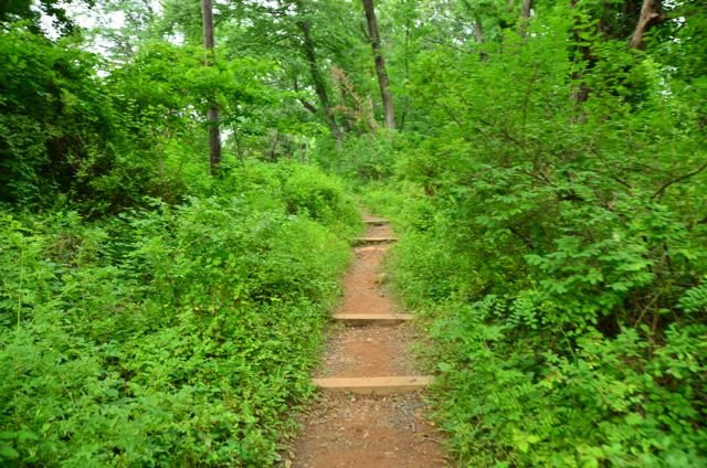 Trailside Nature & Science Center-Mountainside必去景点