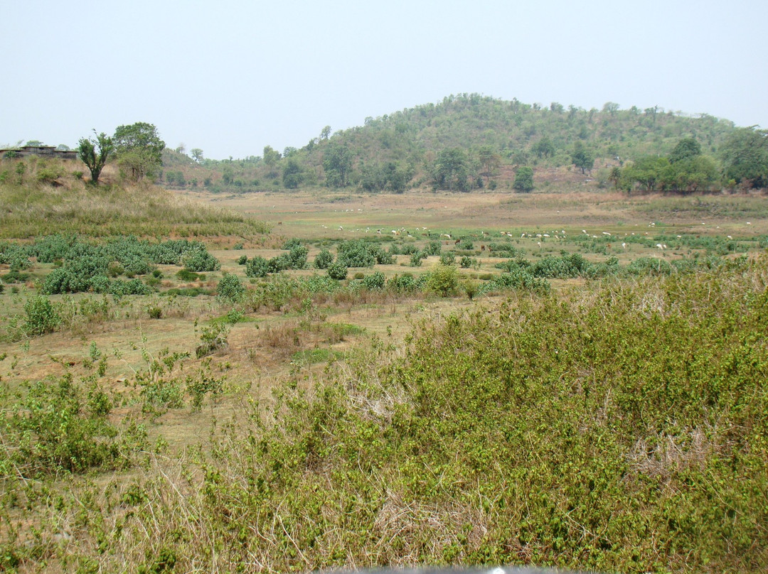 Topchanchi Wildlife Sanctuary景点图片