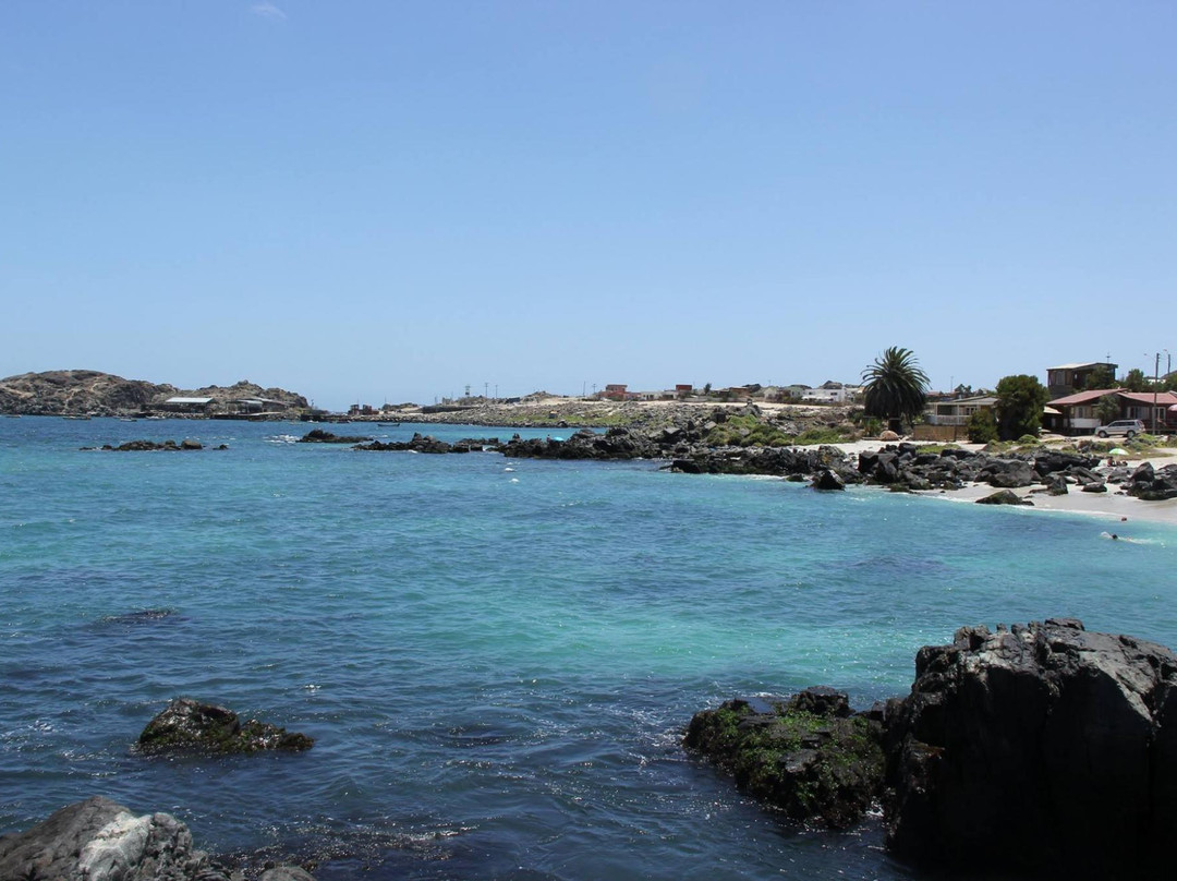 Bahia Inglesa旅游攻略图片