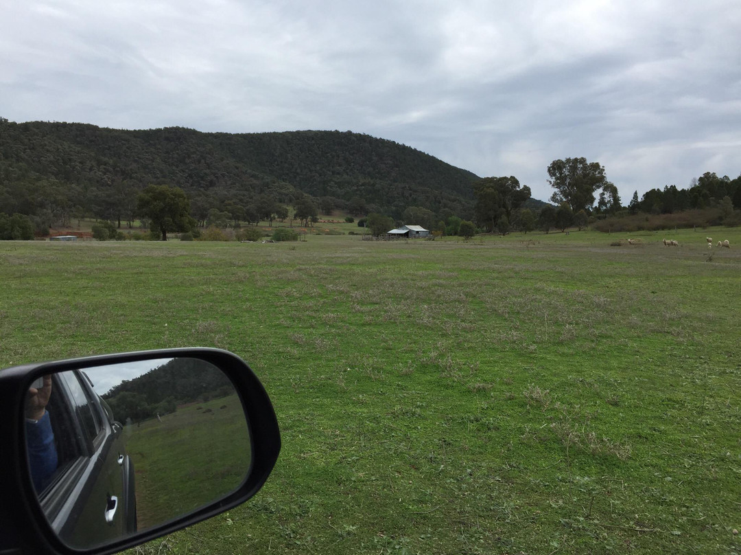Nangar National Park-Canowindra必去景点