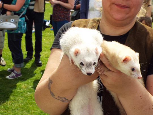 Treacle Market-麦克尔斯菲尔德必去景点