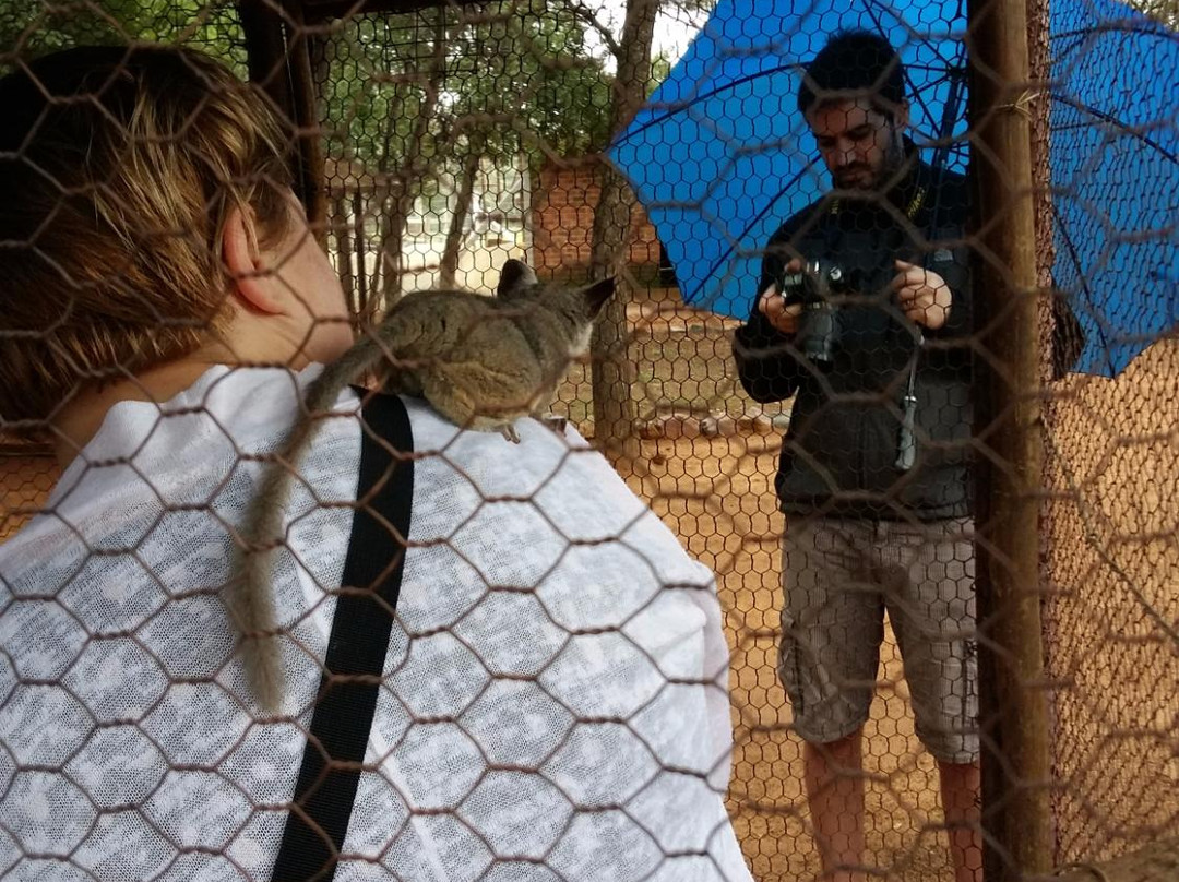 Sondela Rehab Centre Bela Bela-贝拉贝拉必去景点