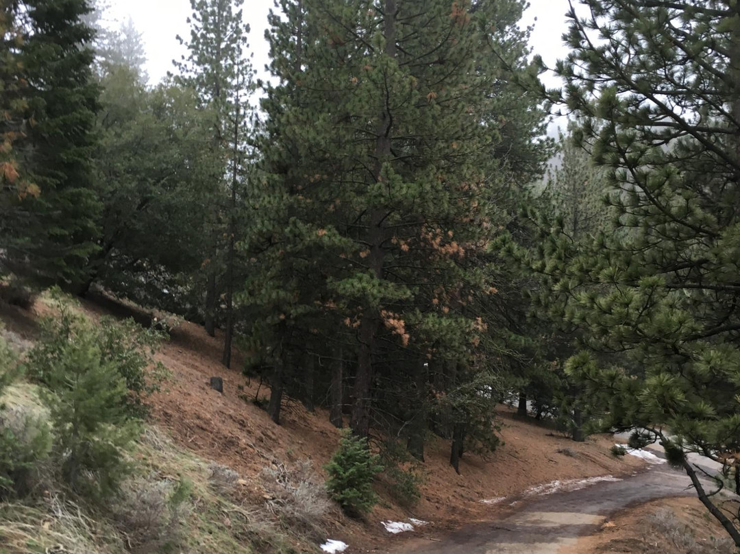 Tehachapi Mountain Park-特哈查比必去景点