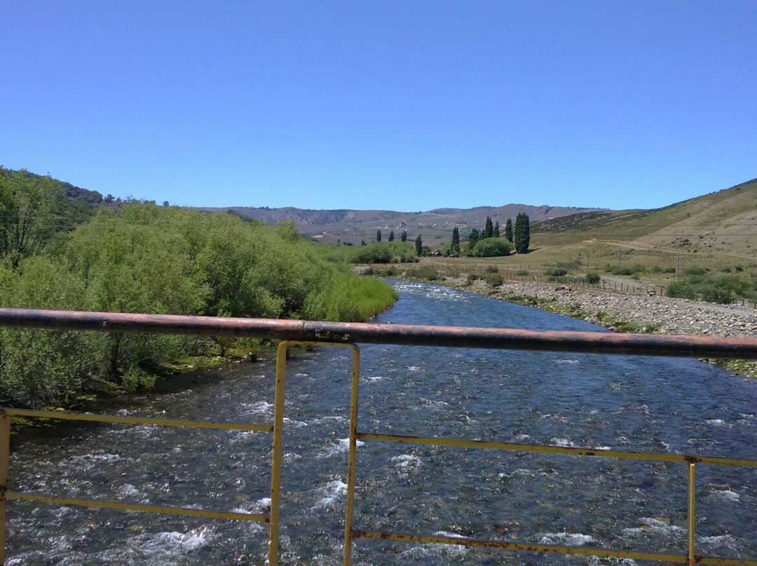 Reserva Nacional China Muerta-Araucania Region必去景点