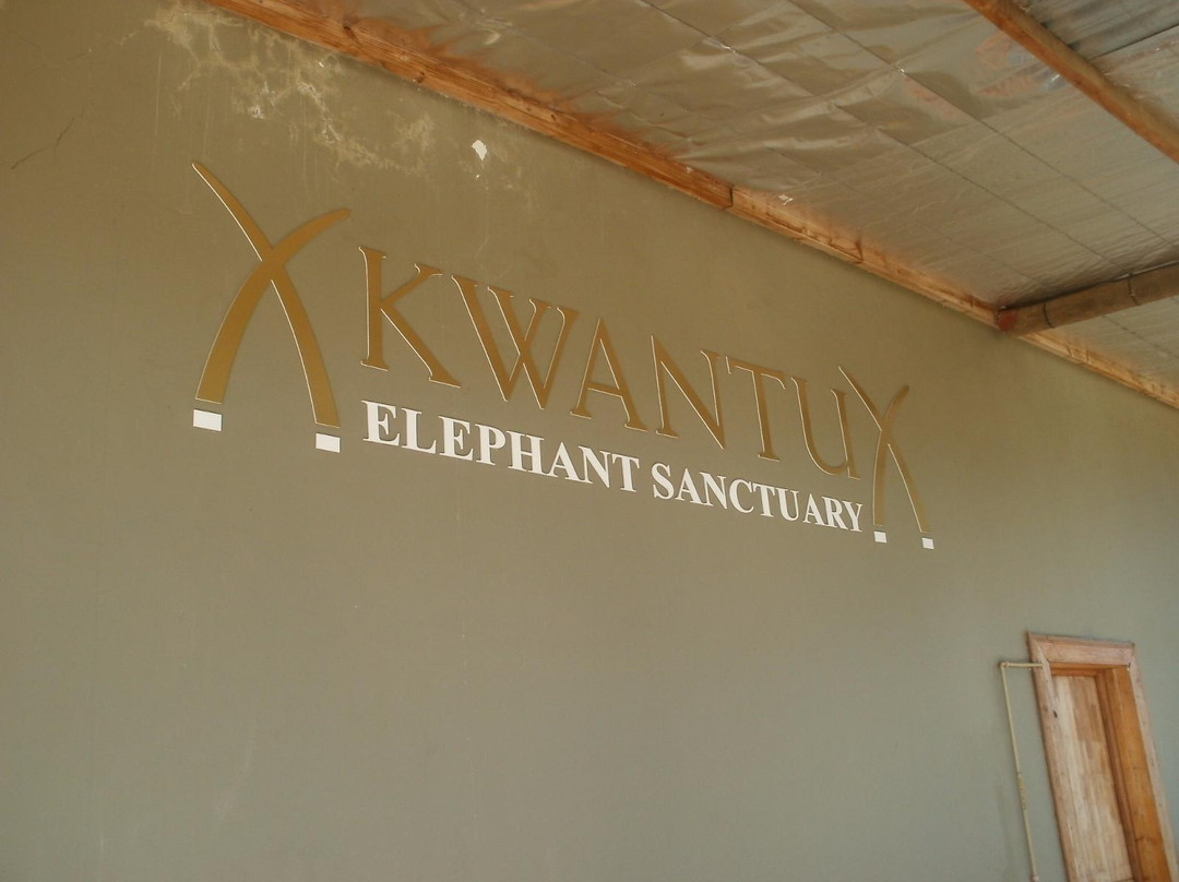 Kwantu Elephant Sanctuary-格拉罕镇必去景点