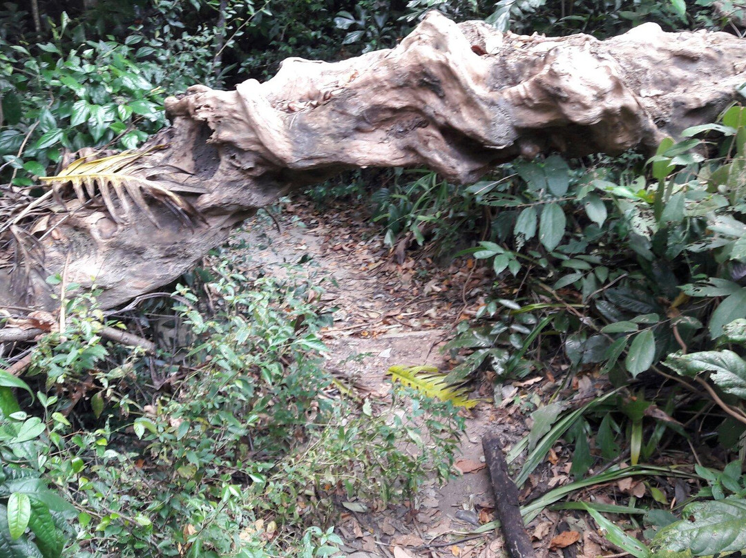 Buddha’s Footprint Temple-Na Mueang必去景点