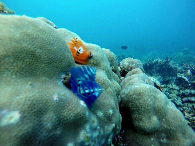 Desa Wisata Bentenan-万鸦老必去景点