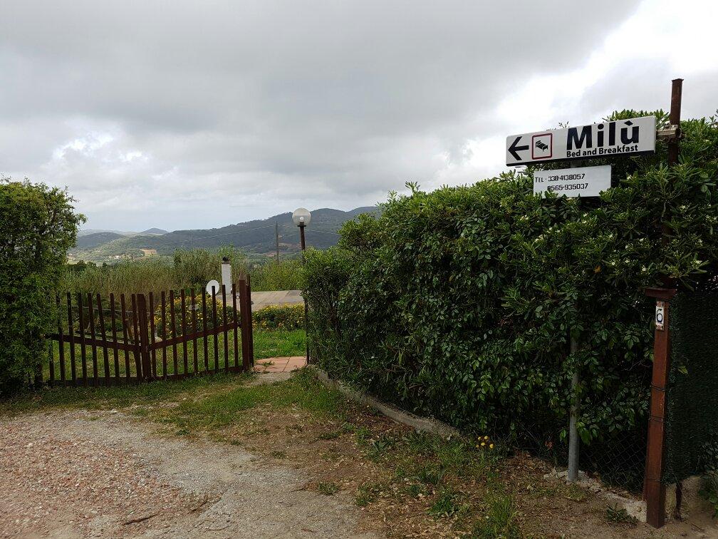 B&B Milu-官方