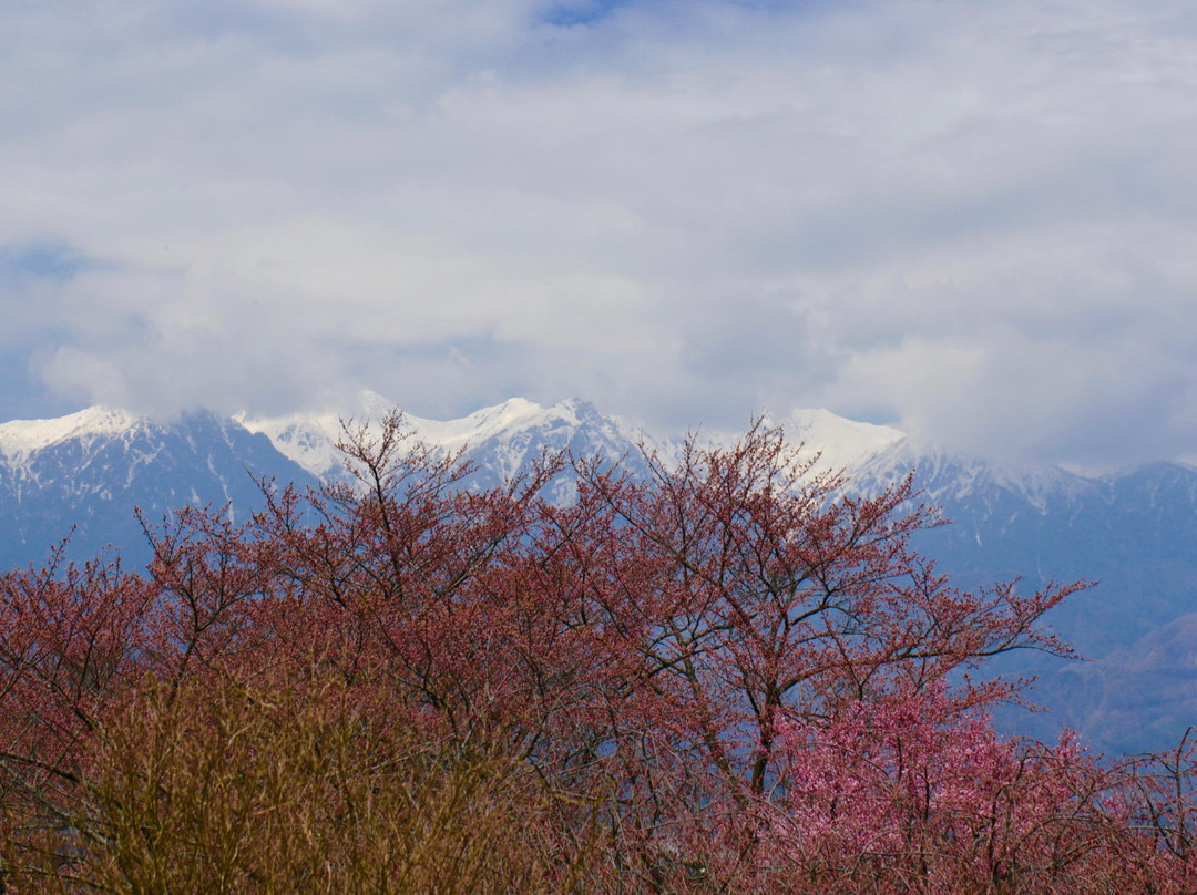 Okusa Castle Ruins Park-中川村必去景点
