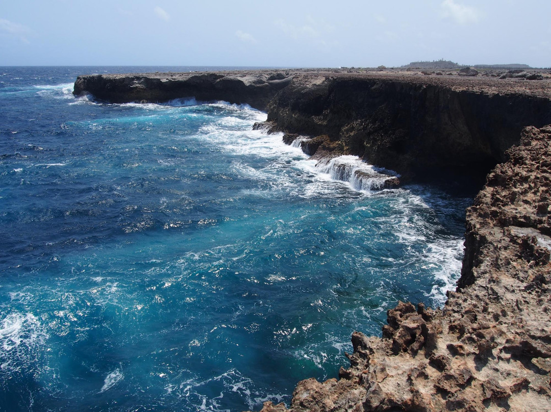Washington-Slagbaai National Park旅游攻略图片