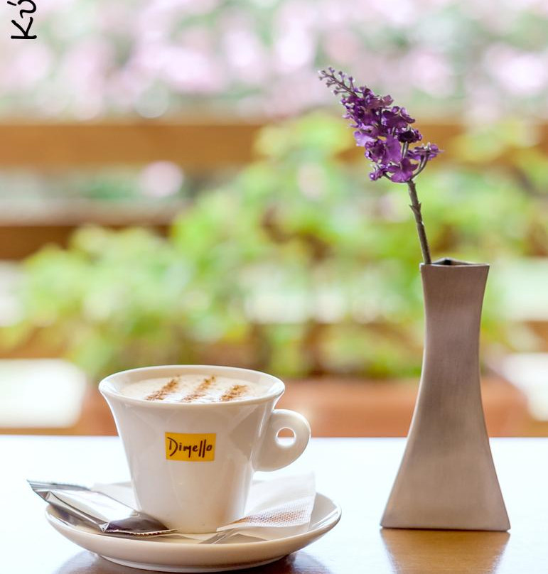 Kyttaro Caffe-Bar-Billiards-Palaikastron必去景点