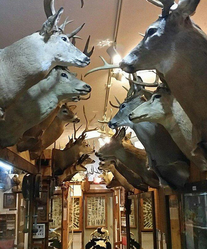 Guntzviller's Spirit of the Woods Museum景点图片