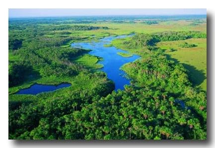 Hotel De L'avenue主图