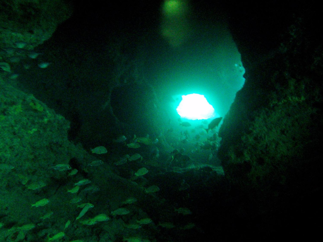 Chankanaab Reef-考祖梅必去景点