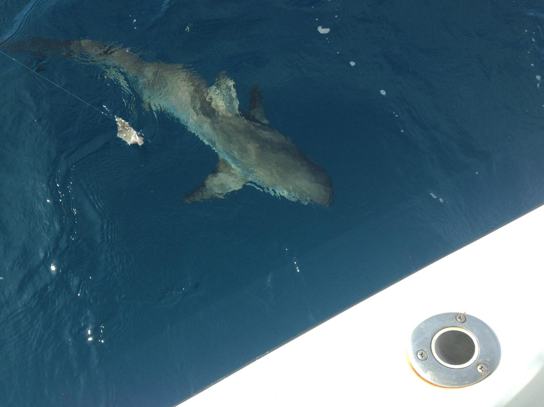 Sunset Marine And Boat Rentals-Green Turtle Cay必去景点