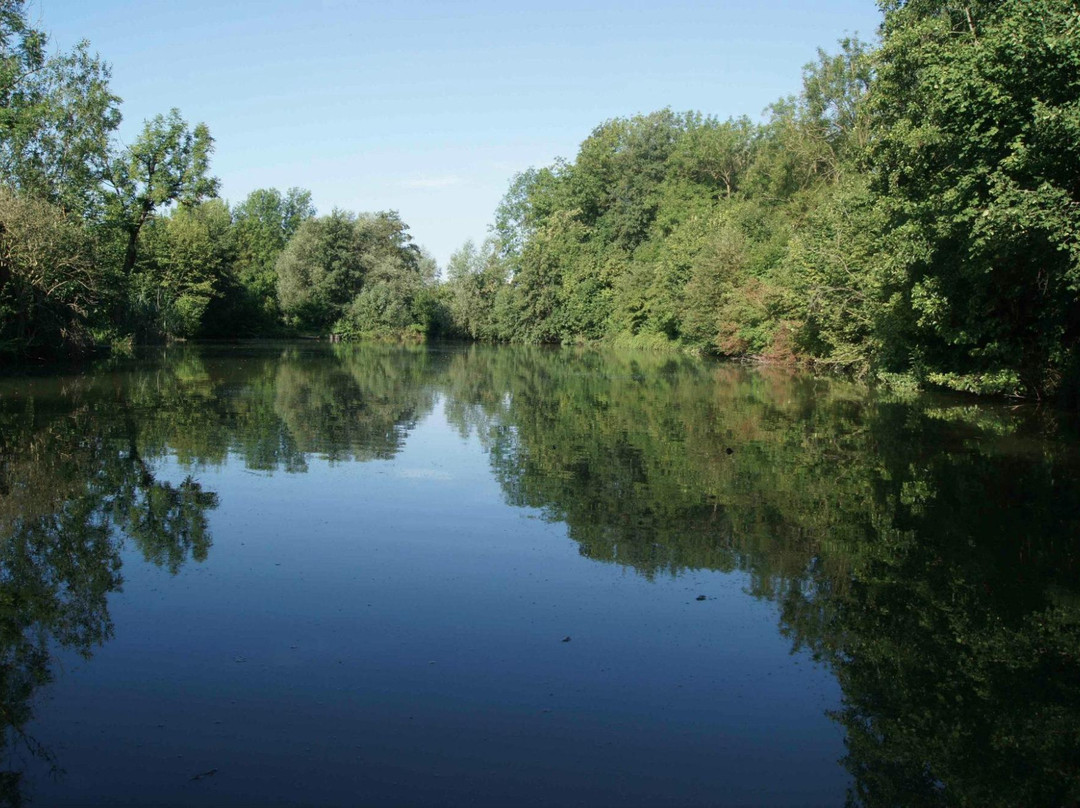 Stiftsteiche Anglerparadies St. Florian
