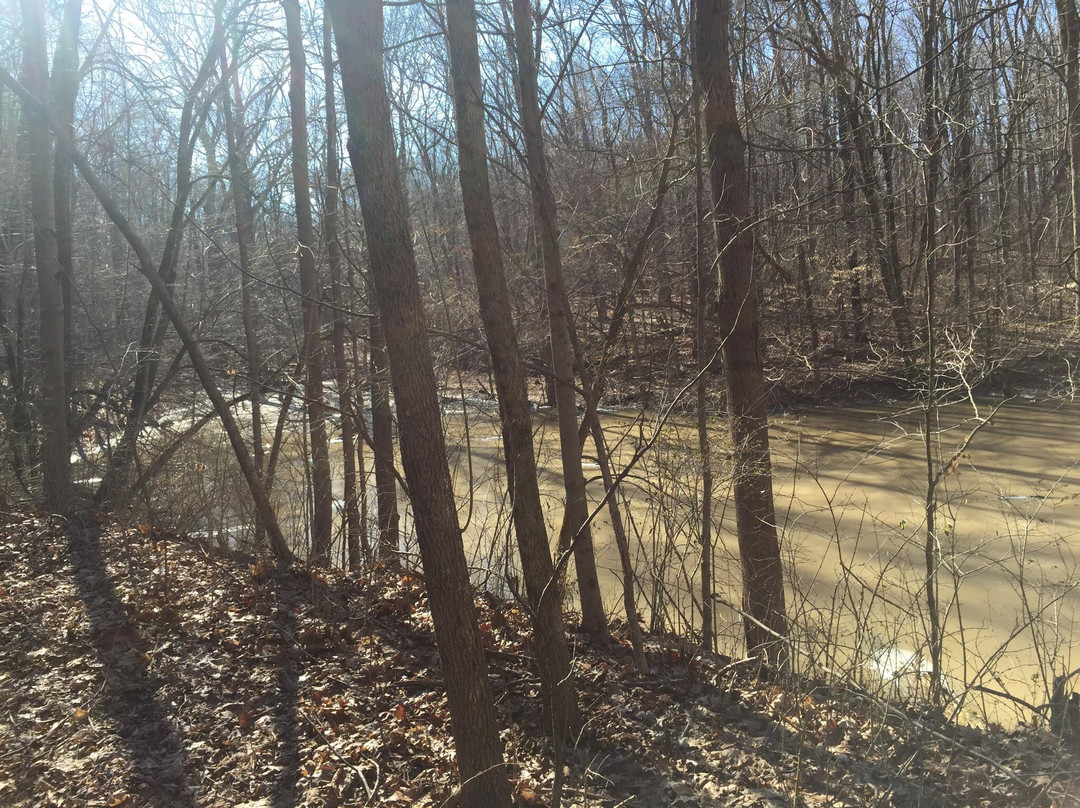 Hayes Arboretum-里士满必去景点