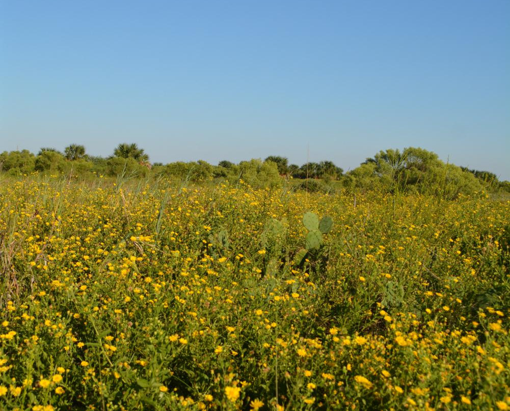 Big Reef Nature Park-盖维斯顿必去景点
