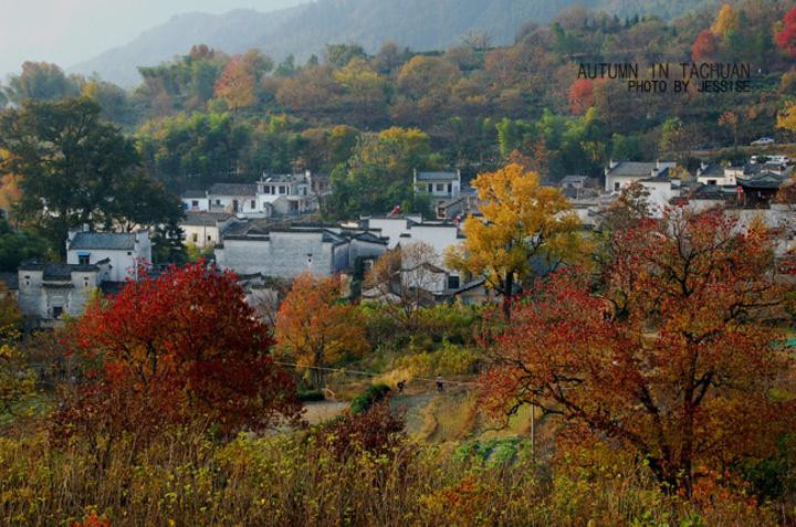 塔川秋色-黟县必去景点