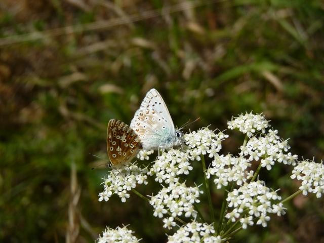 Guentersleben旅游攻略图片