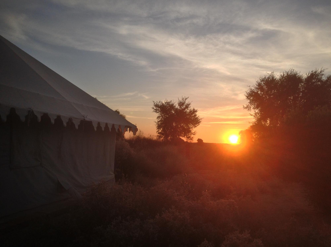 Damodra Desert Camp景点图片