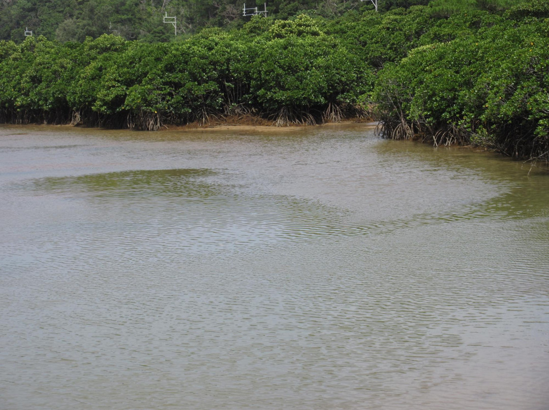 Gesaji River景点图片