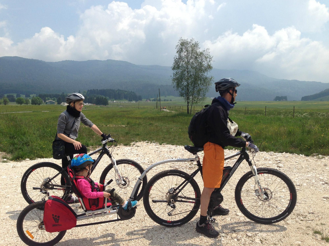 Easy Bike Italy - Day Trips景点图片
