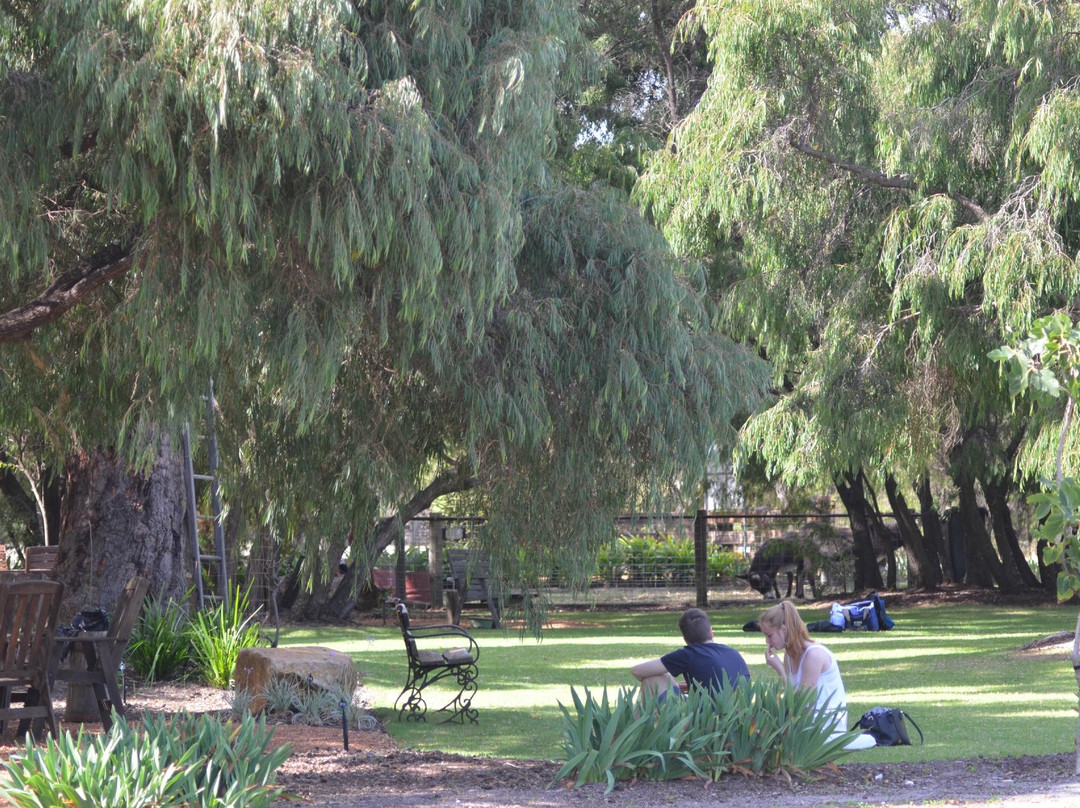 Eagle Bay Olives-Cape Naturaliste必去景点