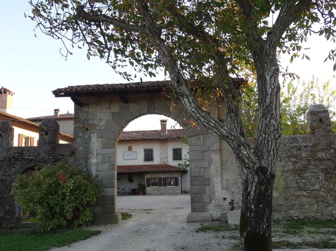 Azienda Agricola Zorutti景点图片