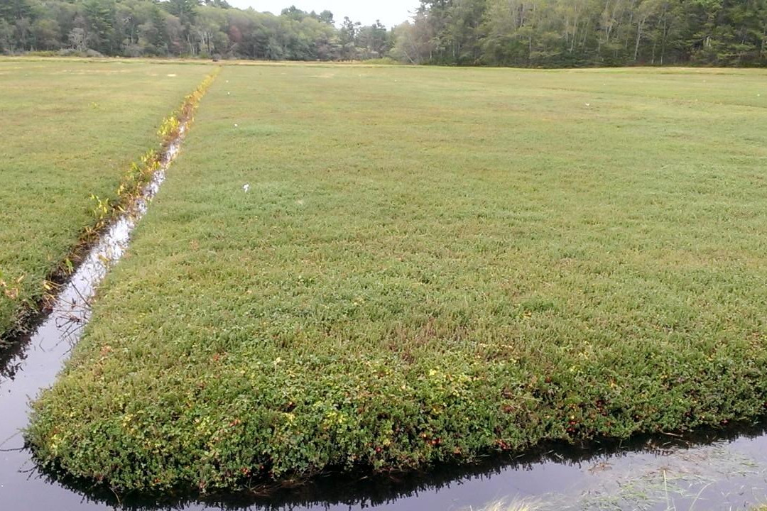 Flax Pond Farms-Carver必去景点